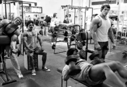 Arnold entrenó en un gold gym